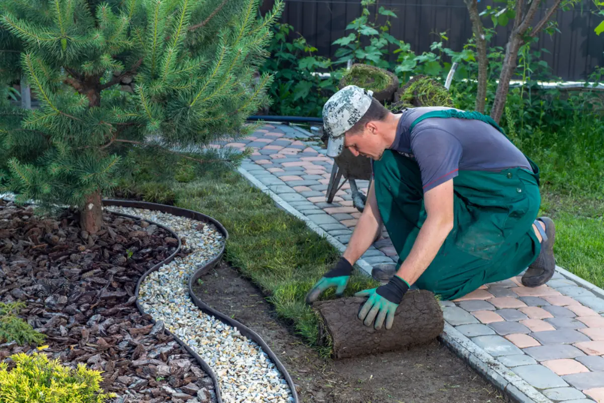 Bahati Sana Ltd landscaping and lawn care in Ghana