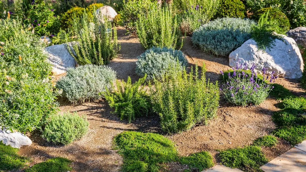 Bahati Sana Ltd landscaping and lawn care in Ghana