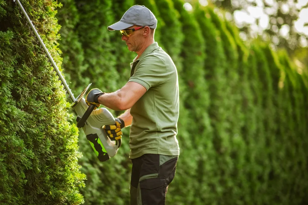 Bahati Sana Ltd landscaping and lawn care in Ghana