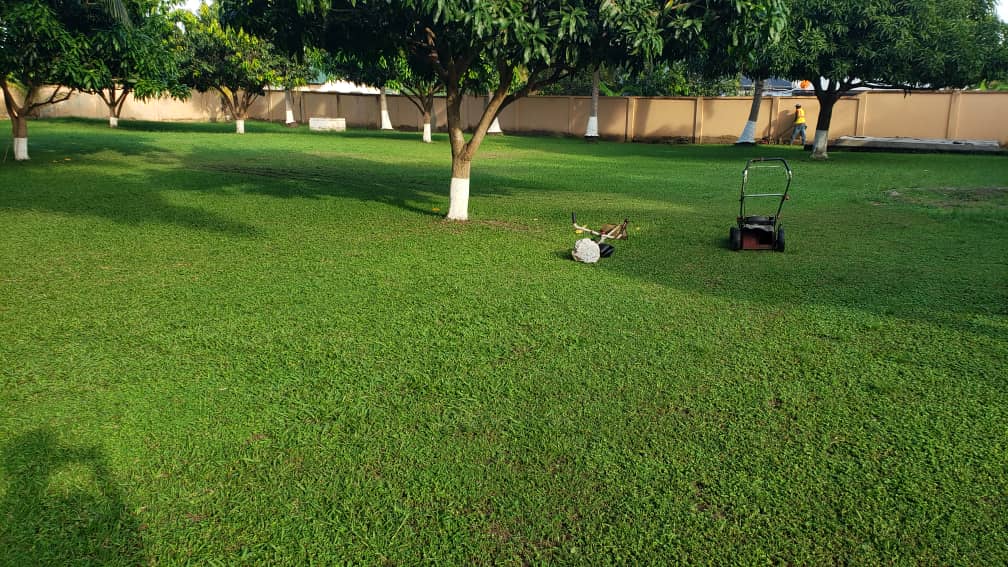 Bahati Sana Ltd landscaping and lawn care in Ghana